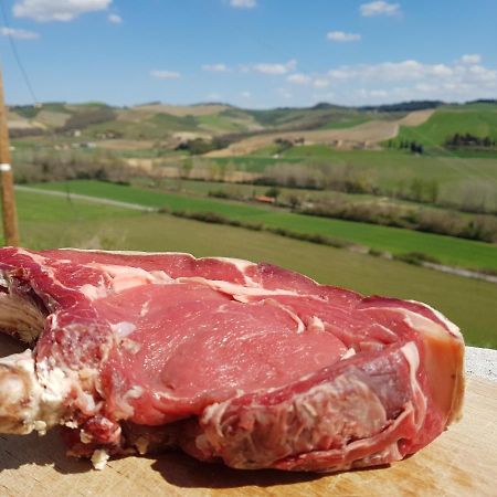Agriturismo Montepinci Montalcino Ngoại thất bức ảnh