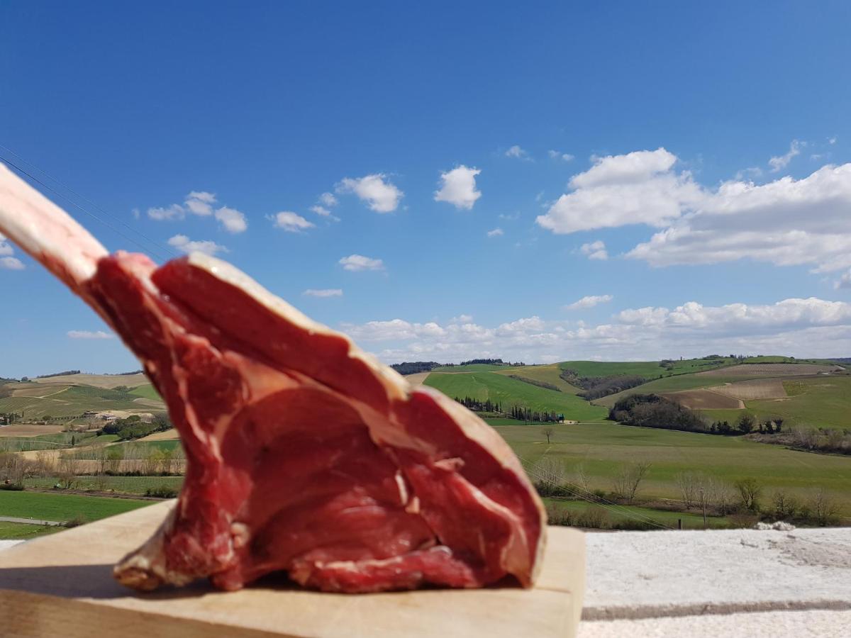 Agriturismo Montepinci Montalcino Ngoại thất bức ảnh